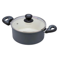 LIV PLUS 両手鍋 20cm セラミック IH ガス アリエッタセラミック ND-3617 1個（直送品）