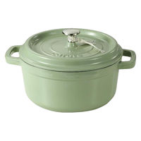 LIV PLUS CAROTE(カローテ) ココット鍋 22cm IH ホーロー アップルグリーン NM-5233 1個（直送品）