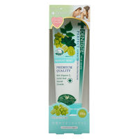 歯磨き粉 デンティス チューブタイプ マスカット 100g リベルタ