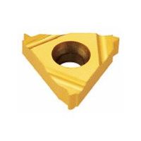 NTKカッティングツールズ TAEGUTEC Tスレッド PGねじ切りチップ 16ER 16 PG TT9030 1セット(5個)（直送品）