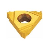 NTKカッティングツールズ TAEGUTEC Tスレッド PGねじ切りチップ 11IR 18 PG TT9030 1セット(5個)（直送品）