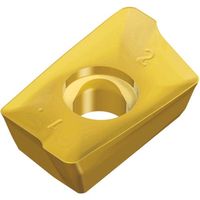 TAEGUTEC ミーリング加工用チップ チェイスミル APKT 1204 PER-EML TT8080 1セット(10個)（直送品）