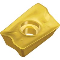 TAEGUTEC ミーリング加工用チップ チェイスミル APKT 170564R-EM TT9080 1セット(10個)（直送品）