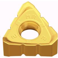 TAEGUTEC ミーリング加工用チップ ミル2ラッシュ TNMX 1806 PNTR-SMR2TT6080 1セット(10個)（直送品）