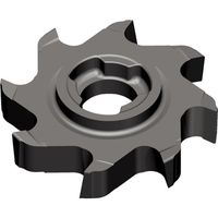 TAEGUTEC ミーリング加工用 スロッター マキシスロット TR17-S-39.7-5.0R0.4TT5525 1個（直送品）