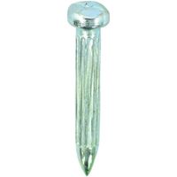 ダイドーハント DAIDOHANT メジャーネイル(測量釘) No.01 4×25 (100本入) 00008200 1箱(100本)（直送品）