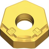 TAEGUTEC ミーリング加工用チップ チェイス2ヘプタ XNHU 0906 ANTN-W TT6080 1セット(10個)（直送品）