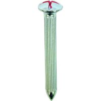 DAIDOHANT メジャーネイル(測量釘) No.R 7×65 赤マーク入 (100本入) 00008214 1箱(100本)（直送品）