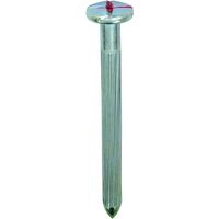 DAIDOHANT メジャーネイル(測量釘) No.04 9×100 赤マーク入 (50本入 ) 00008215 1箱(50本)（直送品）