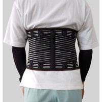 丸和ケミカル 腰部保護ベルト Lサイズ 6390-L 1枚 579-1738（直送品）