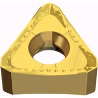 TAEGUTEC ミーリング加工用チップ ミル2ラッシュ TNMX 2207 PNTN TT9080 1セット(10個)（直送品）