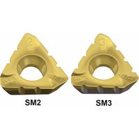 TAEGUTEC ミーリング加工用チップ ミルラッシュ 3PKT 190608R-SM2 TT6080 1セット(10個)（直送品）