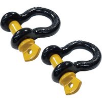 DAIDOHANT タイガーシャックル 3.2トン用(2個入) (d)16mmx(D)19mm 10103258 1袋(2個)（直送品）