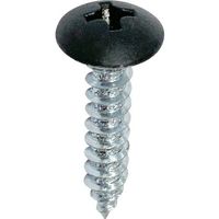 DAIDOHANT タッピングねじ トラス頭 黒 4×10mm 約30本入 00081757 1セット(180本:30本×6パック)（直送品）