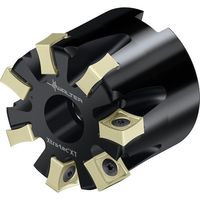 ワルタージャパン Walter フェイスミルカッター M5012ーBボア穴タイプ 14枚刃 M5012-125-B40-14-10 1個（直送品）