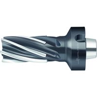 ワルタージャパン Walter ろう付けヘリカル溝削りエンドミル F1682.N8.050.Z06.80.P 1個 412-4947（直送品）