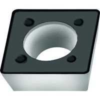 ワルタージャパン Walter ミーリング加工用 正方形ポジチップ WKP25S SPMW09T308T-A27 1セット(10個)（直送品）