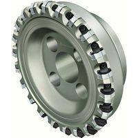 ワルタージャパン Walter ヘプタゴンフェースミルカッター F4045.B27.080.Z11.04 1個 411-7183（直送品）