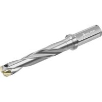 ワルタージャパン Walter チップ交換式ドリル D4140 D4140-05-14.00F16-B 1本 412-5310（直送品）