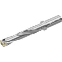 ワルタージャパン Walter チップ交換式ドリル D4140 D4140.05-16.00A19-C 1本 411-2968（直送品）