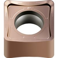 ワルタージャパン Walter ミーリング加工用 正方形ネガチップ WXN15 SNHX1205ZNN-K88 1セット(10個)（直送品）