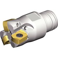 NTKカッティングツールズ TAEGUTEC チェイス4フィード TEBL 210-S06-04 1本 459-4328（直送品）