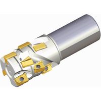 NTKカッティングツールズ TAEGUTEC チェイス2ミル TEF D40-42-W32-AN16 1本 459-4332（直送品）