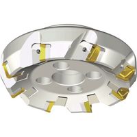 NTKカッティングツールズ TAEGUTEC ライノウェッジクランプ LM60SC 15315-60R-27 1本 459-4139（直送品）