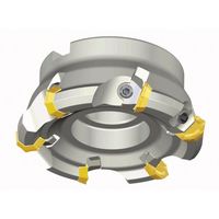 NTKカッティングツールズ TAEGUTEC チェイスオクト TFM43ZOFW 6100-31.75R-07 1本 458-7970（直送品）