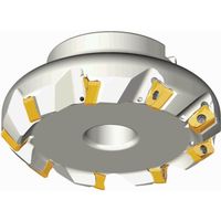 NTKカッティングツールズ TAEGUTEC チェイス2ミル TFM45AN 450-22R-16 1本 459-2712（直送品）