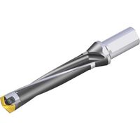 NTKカッティングツールズ TAEGUTEC 刃先交換式穴あけ用ホルダー スペードラッシュ LCD 290-299-32T2-5D 1本（直送品）