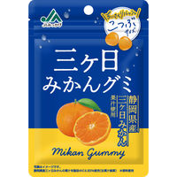 モントワール JAみっかび 三ヶ日みかんグミ 4580530495997 1セット(36g×10個)（直送品）
