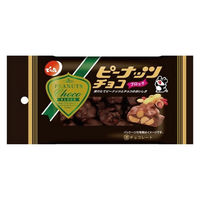 でん六 ピーナッツチョコ ブロック 4901930085098 1セット(40g×12個)（直送品）