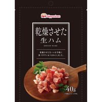 日本ハムマーケティング 乾燥させた生ハム 4902115702847 1セット(40g×10個)（直送品）