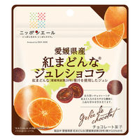 全国農協食品 ニッポンエール 愛媛県産紅まどんな ジュレショコラ 4908012003254 1セット(35g×6個)（直送品）