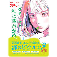 壮関 海のピクルス 4941983028161 1セット(32g×6個)（直送品）