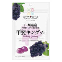 全国農協食品 ニッポンエール 山梨県産甲斐キンググミ 4908012006347 1セット(40g×10個)（直送品）