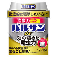 バルサン DX煙12ー16畳用 1個 レック