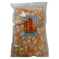 暑さ対策 塩分チャージ 業務用 熱中飴III 夏みかん 1個