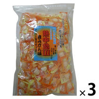 暑さ対策 塩分チャージ 業務用 熱中飴III 夏みかん 1セット（1個×3）