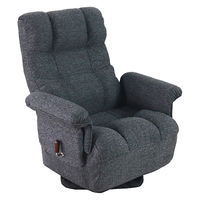 平インテリア産業 回転高座椅子 ミュート ワイド 折り畳み式 ブラック SS-260HS WIDE L-25BK 1台（直送品）