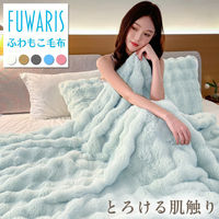 ベストアンサー life-172-sd-wh ふわもこ毛布 セミダブル ホワイト 1セット（直送品）