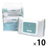 ウェットティッシュ アルコール フタつきmini除菌 携帯用 1セット（1パック（30枚入×3個）×10） ドウシシャ