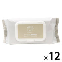 ウェットティッシュ ノンアルコール 除菌ウェットティッシュ ふた付き 本体 1セット（80枚入×12個） ドウシシャ