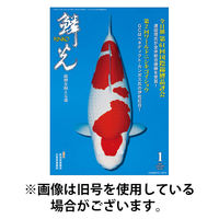 鱗光 2026/05/15発売号から1年(12冊)(雑誌)（直送品）