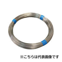 フジテックジャパン ステンレス針金 10m巻 #16×10m 屋外・耐食 結束固定用 1100100006443 1個（直送品）