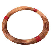 フジテックジャパン 正銅針金 1kg巻 #20×177m 電気・アース・ホビー工作用 1100100006474 1個（直送品）