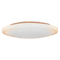 日本防災スキーム 防災用シーリングライト 天照(アマテラス)tsuita TC102 1個（直送品）