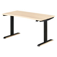 【軒先渡し】コイズミファニテック GENTLER 昇降デスク ホワイトウォッシュ×ブラック 1台（直送品）