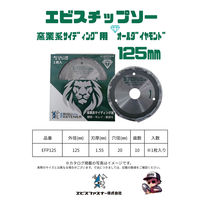 エビスファスナー エビスチップソー 窯業系サイディング用 オールダイヤモンド 125mm EFP125 1パック(1枚)（直送品）